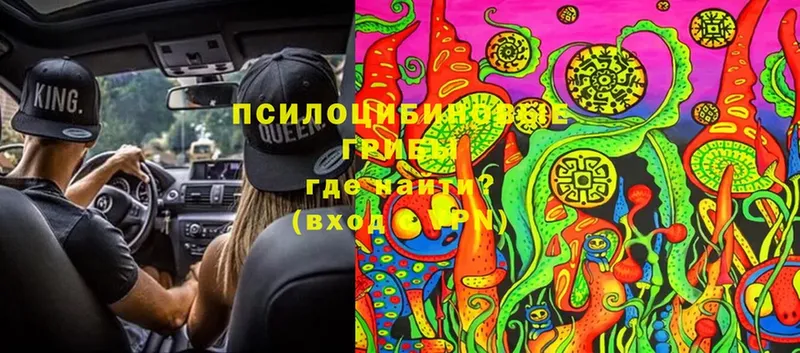 Галлюциногенные грибы Cubensis  где продают наркотики  Уяр 